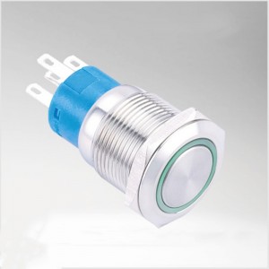 ELEWIND 19mm  stainless steel Ring illuminated Momentary push button with connector ( PM192F-11E/G/12V/S )