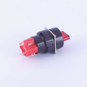 ELEWIND 16mm Plastic 6 PIN terminal Selector switch 2 position maintain with led light ( PB162Y-11XD/21/R/12V )