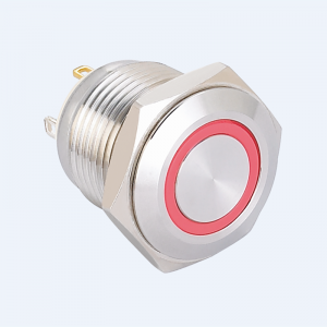 ELEWIND 16mm Momentary (1NO) stainless steel push button switch With circle light (PM161F-10E/J/B/12V/S)
