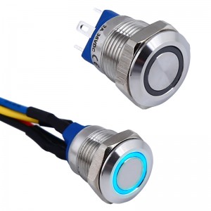 ELEWIND 12mm wiring metal push button switch momentary 1NO with light(PM121F-10E/J/R/12V/S)
