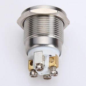 ELEWIND 19mm dot illuminated  led  light  push button switch 1NO momentary Stainless steel  metal (PM191F-10D/R/12V/S)