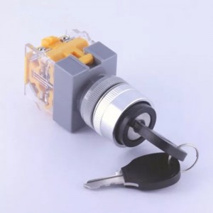 ELEWIND 22mm Plastic Screw terminal 1NO1NC 2 Postition maintain KEY lock switch  BLACK  Cap color ( PB222-11Y/21 )