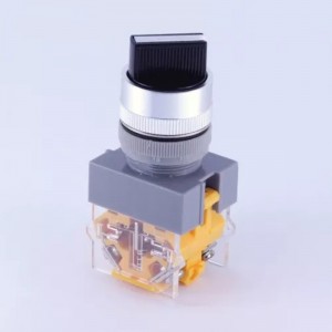 ELEWIND 22mm Screw terminal BLACK Cap color 1NO1NC 2 Postition maintain selector switch ( PB222-11X/21 )