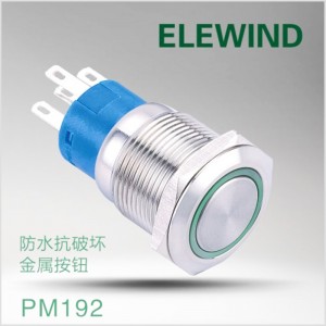 ELEWIND 19mm  stainless steel Ring illuminated Momentary push button with connector ( PM192F-11E/G/12V/S )
