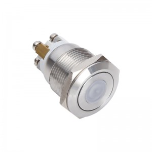 ELEWIND 19mm dot illuminated  led  light  push button switch 1NO momentary Stainless steel  metal (PM191F-10D/R/12V/S)