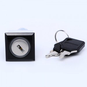 ELEWIND 22mm Plastic 5 PIN terminal square illuminated key lock switch ( PB223PF-11Y/21A/G/12V ，PB223WF-11Y/21A/G/12V )