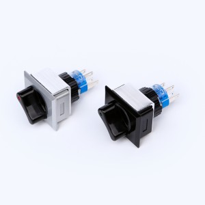 ELEWIND 22mm Plastic Rectangular Ring illuminated selector switch (PB223WJ-11X/21/G/12V ，PB223PJ-11X/21/R/12V )