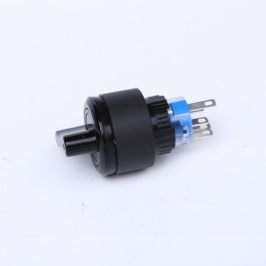 ELEWIND 22mm Round Ring illuminated select plastic selector push button switch (PB223PY-11X/21/R/12V )