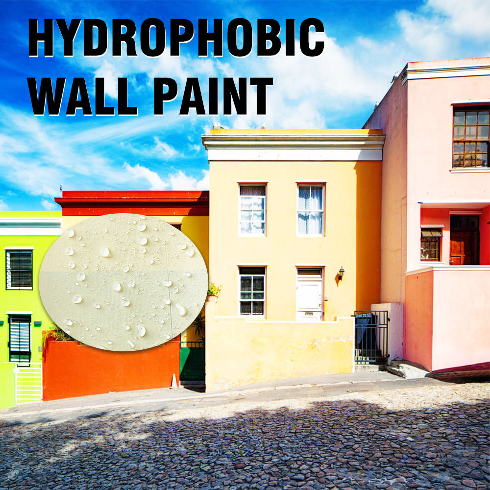 Hydrophobic wall paint – protecting building walls
