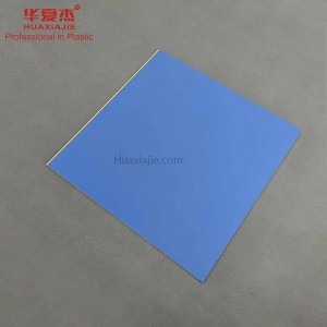 China factory 600mm*9mm wpc wall panel cladding for Decorative Wall
