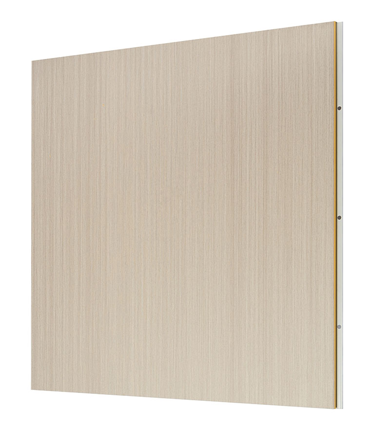 OEM/ODM Supplier Wood Plastic Composite Wall Panel - quick install decorative WPC wall panel 600mm*9mm for home or hotel – Huaxiajie