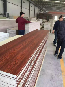 PVC Wood-Plastic Quick Assembling Wall Panel Extrusion Line