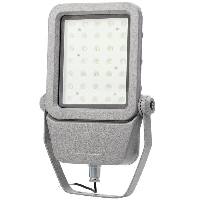 Factory LED explosion-proof floodlight