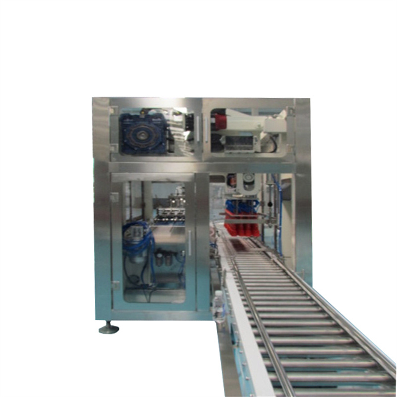 Automatic Gripping Type Case Packer for Plastic Bottles