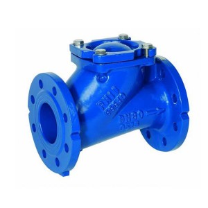 High Quality Flange Ends Ansi 150 Y-strainer Hydraulic Water Flanged Strainers Y Type Cast Or Ductile Iron Y Strainer