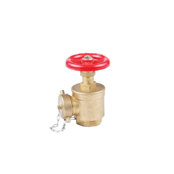Competitive Price for Fire Hose Cabinet Glass - Fire Brass Landing Valve – Minshan