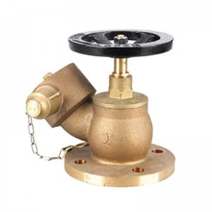 High Quality Brass Indoor Type Fire Hydrant for Sale