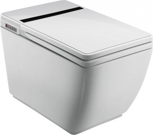 Buy Discount Smart Toilet Bidet Suppliers –  Smart Toilet Seat Bidet Tankless Toilet – Moershu