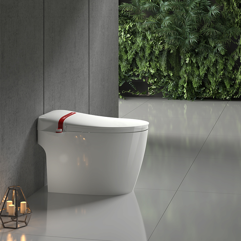 Famous Best Smart Toilet Seat Supplier –  Modern Bathroom Intelligent Products Smart Electrical Toilet – Moershu