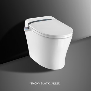 Modern Bathroom Intelligent Products Smart Electrical Toilet