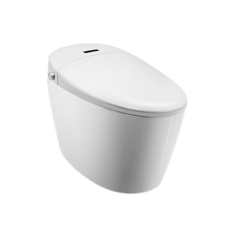 Auto Flush Smart Toilet with Bidet System