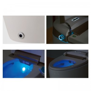 Auto Flush Smart Toilet with Bidet System