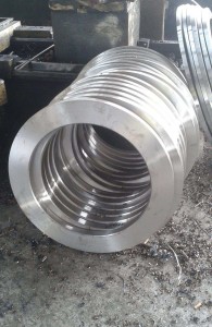 Carbon Steel Forged Flange Manufacturer
