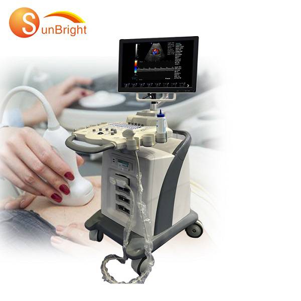 OEM/ODM China Color Doppler Ultrasound Cost - CE echo machine phased array probe trolley color Doppler ultrasound  – Sunbright