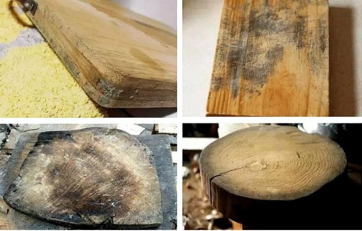 Are you still struggling with moldy cutting boards? Suncha will tell you how to reduce the risk of mildew
