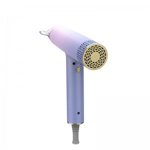 Big discounting China Factory OEM Rose Red Morden 1600W Wall Mounted Hotel Bathroom Hair Dryer