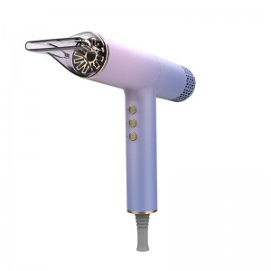 OEM Supply China Commercial Plastic Hotel Hair Dryer