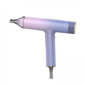 BLDC Motor Hair Dryer beauty With Self-clean Function