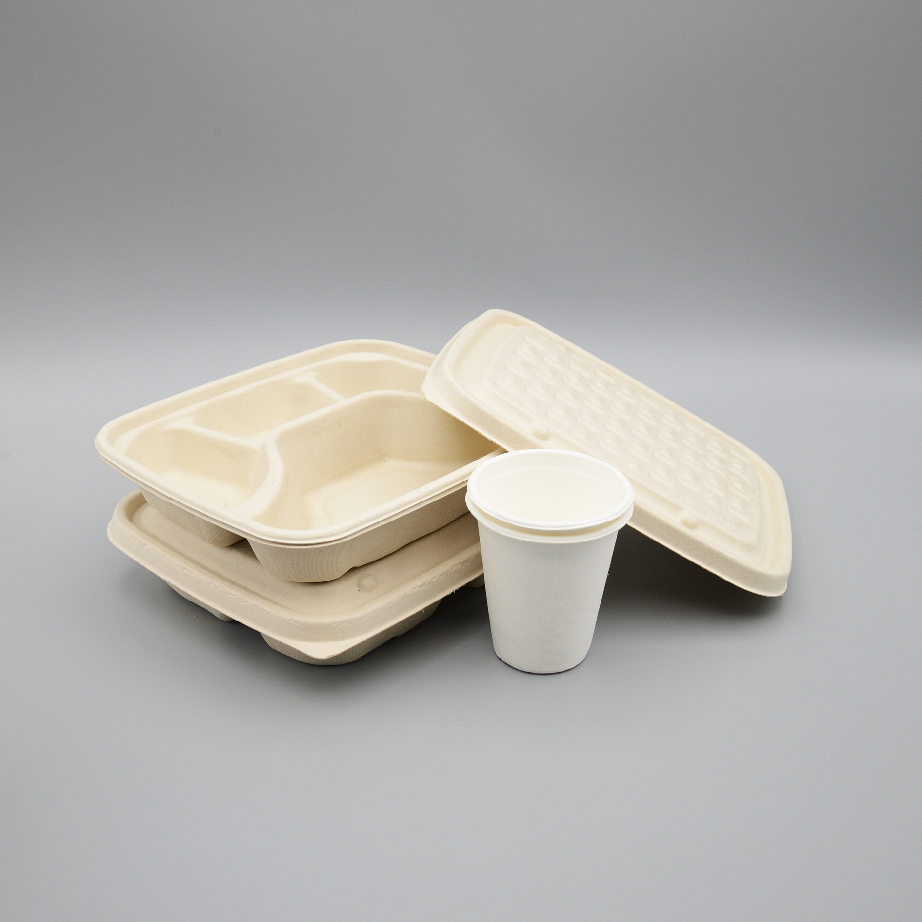 Disposable Sugarcane Bagasse 3 Compartments Compostable Food Container