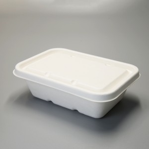 Boîte à lunch à usage unique et compostable en canne à sucre avec couvercle
