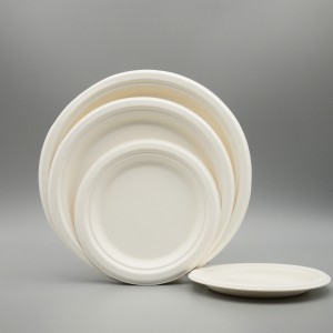 Disposable degradable Sugarcane Tray Bagasse Plate