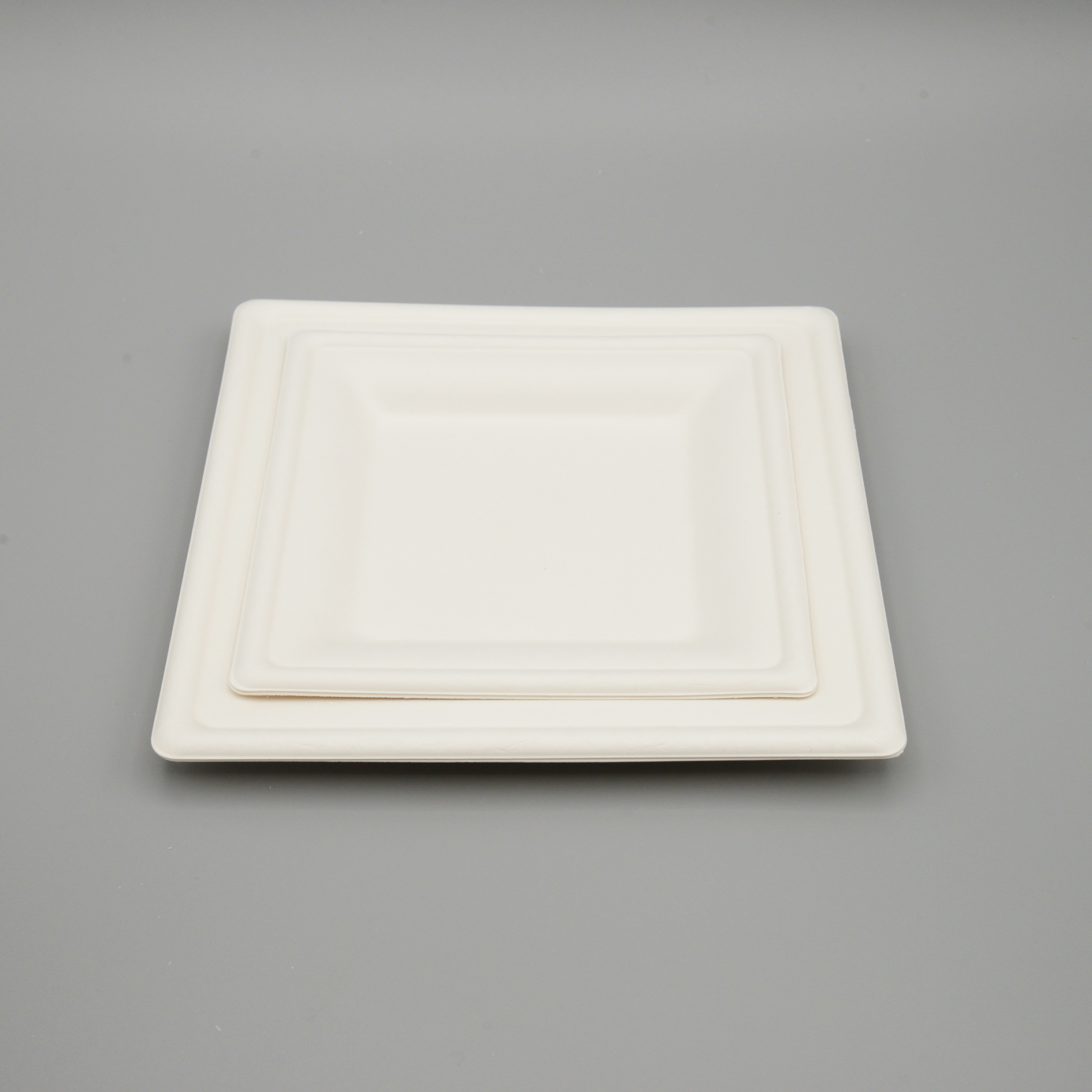 Factory Direct Party Disposable Plates Wedding Dinnerware Bagasse Food Trays