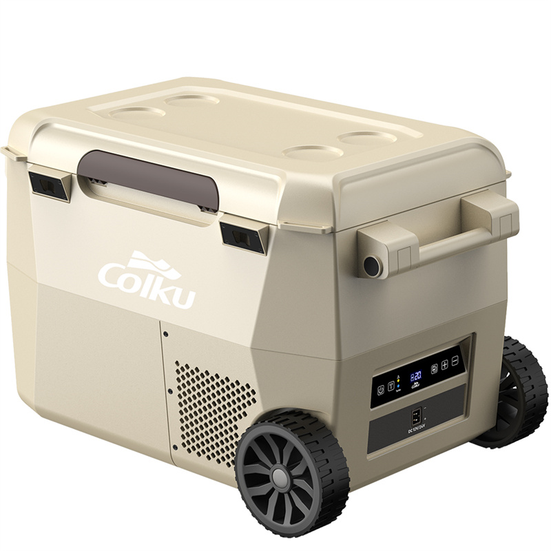 OEM Oem Odm 12v 24v compressor camping Refrigerator Manufacturer