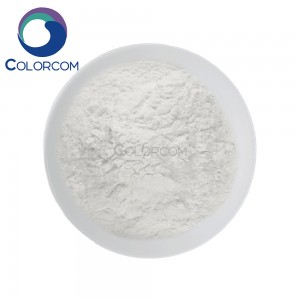 Hydroxyethyl Cellulose | HEC | 9004-62-0