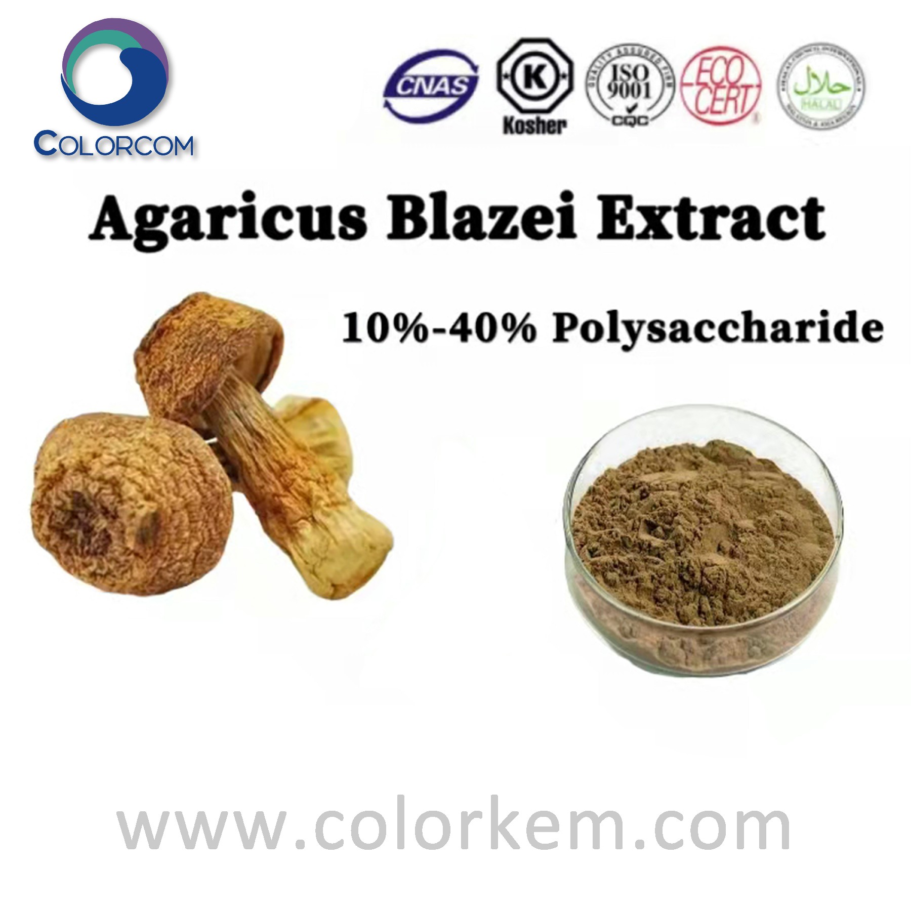 Agaricus blazei extract 10 Polysaccharide