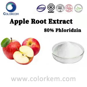Estratto di radice di mela 80% floridzina |85251-63-4