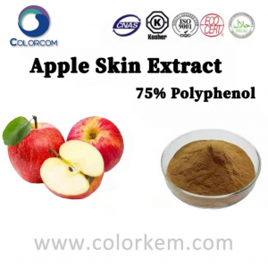 Extracto de piel de manzana 75% polifenol