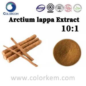 Arctium Lappa ekstrakt 10:1