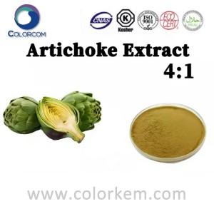 Artichoke Extract 4:1 | 30964-13-7