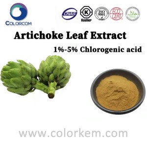 Artichoke Leaf Extract 1%-5% Chlorogenic Acid | 327-97-9