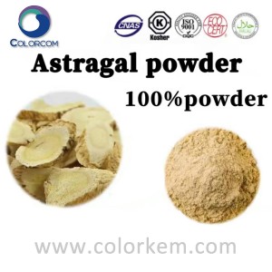 Astragal Powder |84687-43-4