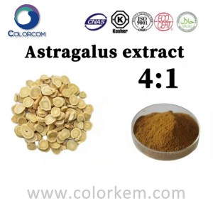 Ekstrakt z Astragalusa 4:1 |84687-43-4