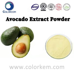 Avocado extract poeder