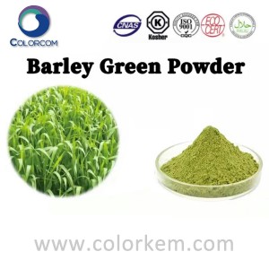 Barley Green Foda