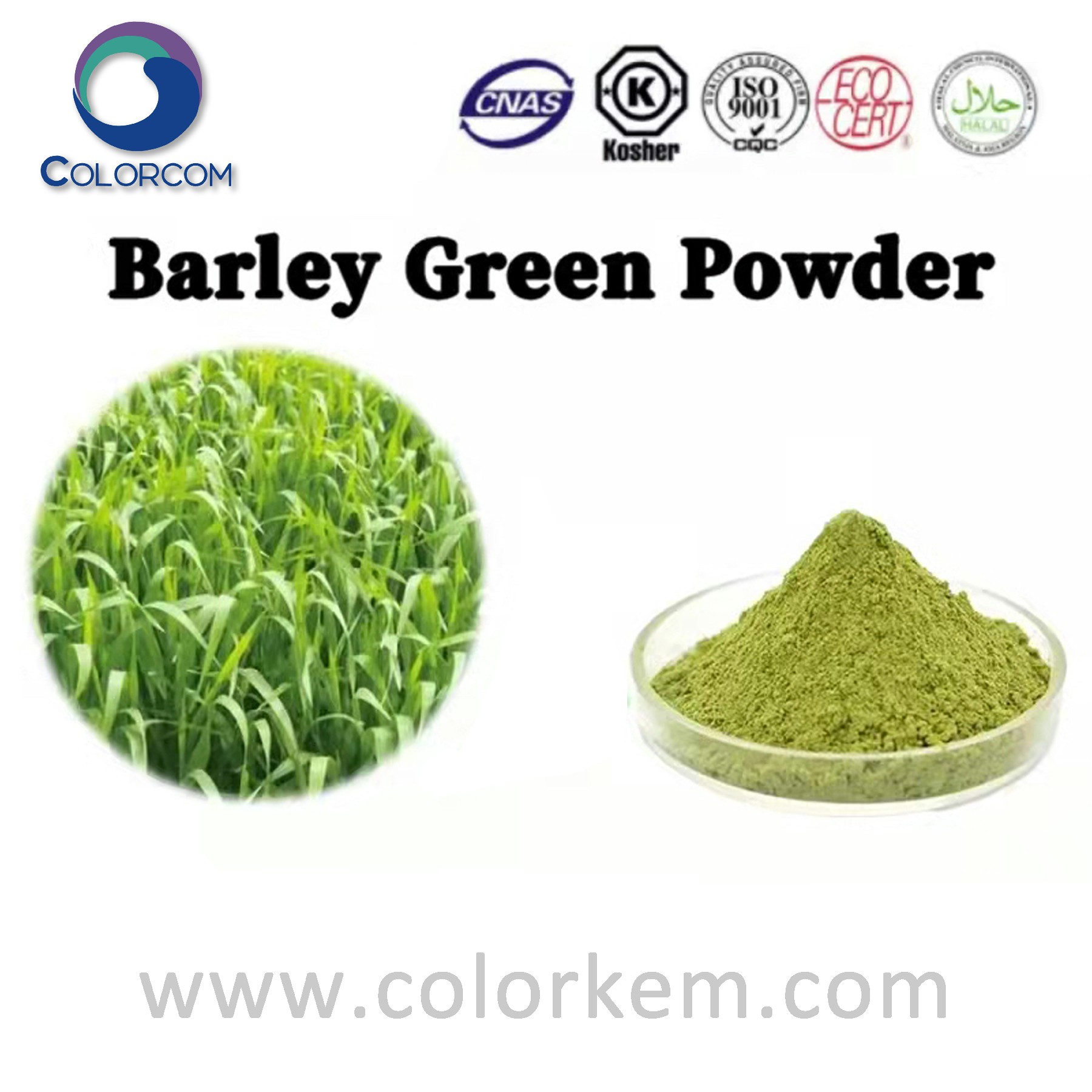 Barley Green Powder
