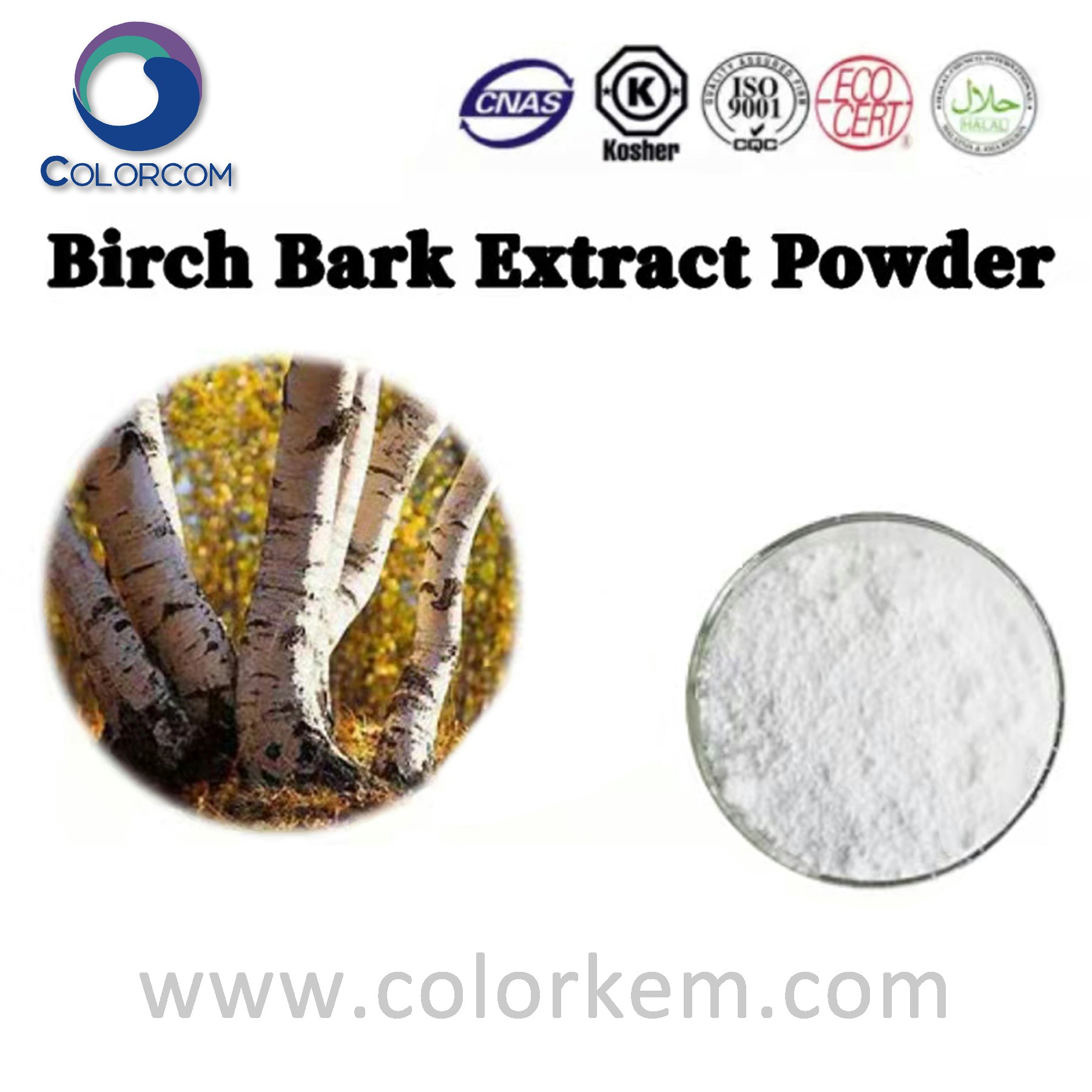 Birch Bark Extract Powder